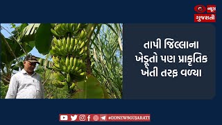 તાપી જિલ્લાના ખેડૂતો પણ પ્રાકૃતિક ખેતી તરફ વળ્યા