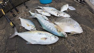 SPOT TENGAH PERTAMINA SEMARANG❗️❗️SLOW JIGGING | ULTRALIGHT FISHING | MANCING IKAN TALANG SEMARANG