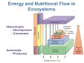 bi280 chapter 26 environmental microbiology part 1 of 2