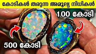 ഈ കല്ല് നിങ്ങളെ കോടീശ്വരനാക്കും 🤑 This Stone Will Make You Rich | Malayalam | Luxury Items | Facts