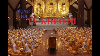 TỤNG GIỚI TỲ KHEO NI (LUẬT TỲ KHEO NI GIỚI BỔN - HT.THÍCH THIỆN CHƠN dịch)