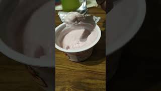 Dannon Light Fit Greek Strawberry Cheesecake Yogurt Review Video.