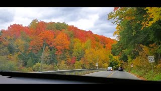 Beautiful Scenic Drive in Caledon, Ontario