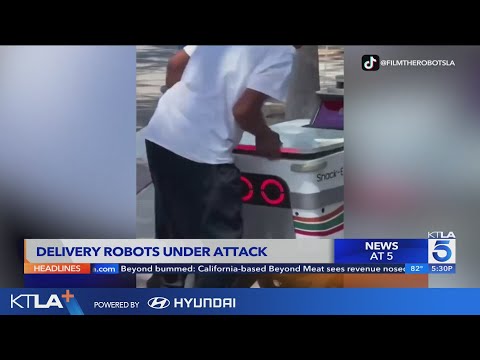 Food delivery robots attacked by vandals and thieves