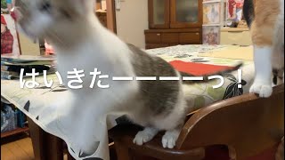 こーちゃん来たーーーっ！！！