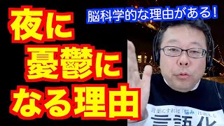 夜に憂鬱になる理由【精神科医・樺沢紫苑】