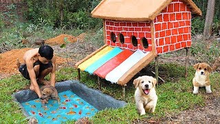 How To Build Colors Water Slide House For Abandoned Puppies