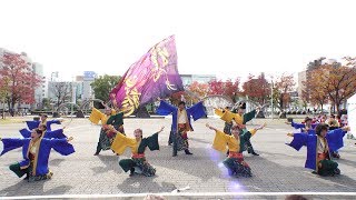 Team雅龍 @ 四日市よさこい祭り (市民公園会場) 2019-11-24T11:40