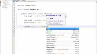 Static Access Modifier