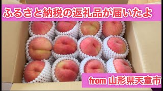 ふるさと納税の返礼品が届いたよ #家庭菜園　＃ふるさと納税　＃天童市　＃vlog 　#ベランダ菜園