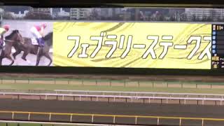 フェブラリーS連覇達成！⑥カフェファラオの抜け出しと⑮テイエムサウスダン\u0026⑪ソダシの粘り【フェブラリーステークス2022】