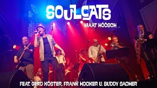 Maat höösch - Soulcats feat. Köster/Hocker & Buddy Sacher