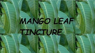 Mango Tincture