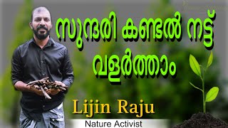 How to plant Mangroves | കണ്ടൽ നട്ടുവളർത്താം പരിസ്ഥിതിയെ സംരക്ഷിക്കാം | Malayalam Video | Lijin Raju