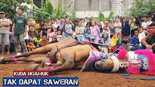 The attraction of the renggong horse going berserk - the handler is annoyed