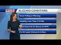 What defines blizzard conditions?