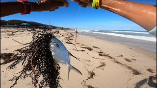 Lucky FIND, Lucky CATCH! #youtube #fishing #fishingtechniques #youtubefishing #beachfishing #fish