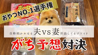 大好きなおやつ並べたらポメラニアン犬はどれから食べるかな？第1回おやつGP！