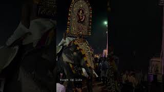 Panayannarkavu Kalidasan🔥Vayalil Sri Bhagavathi TempleUlsavam #shortvideo #shortsyoutube #shorts