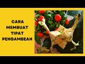 CARA MEMBUAT TIPAT PENGAMBEAN UNTUK PEMULA