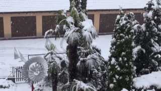 Wintereinbruch mit Schnee im April 2013