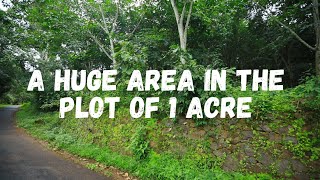 A area for sale at Ernakulam | piravom