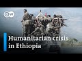 Government forces make gains in Ethiopia conflict | DW News