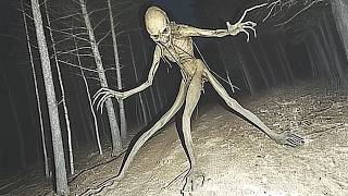 Scary Unexplained Things Caught On Trail Cameras