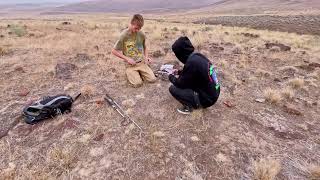 Weekend Rocket Run for Greater Short-horned Lizards