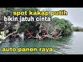 mancing kakap putih disini selalu panen banyak .