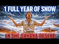 What If It Snowed In The Sahara Desert For 1 Full Year — The Planet Would Never Recover