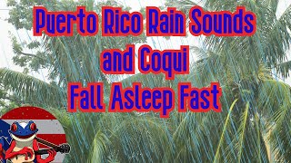 PuertoRico Coqui Rain Sounds To Fall Asleep