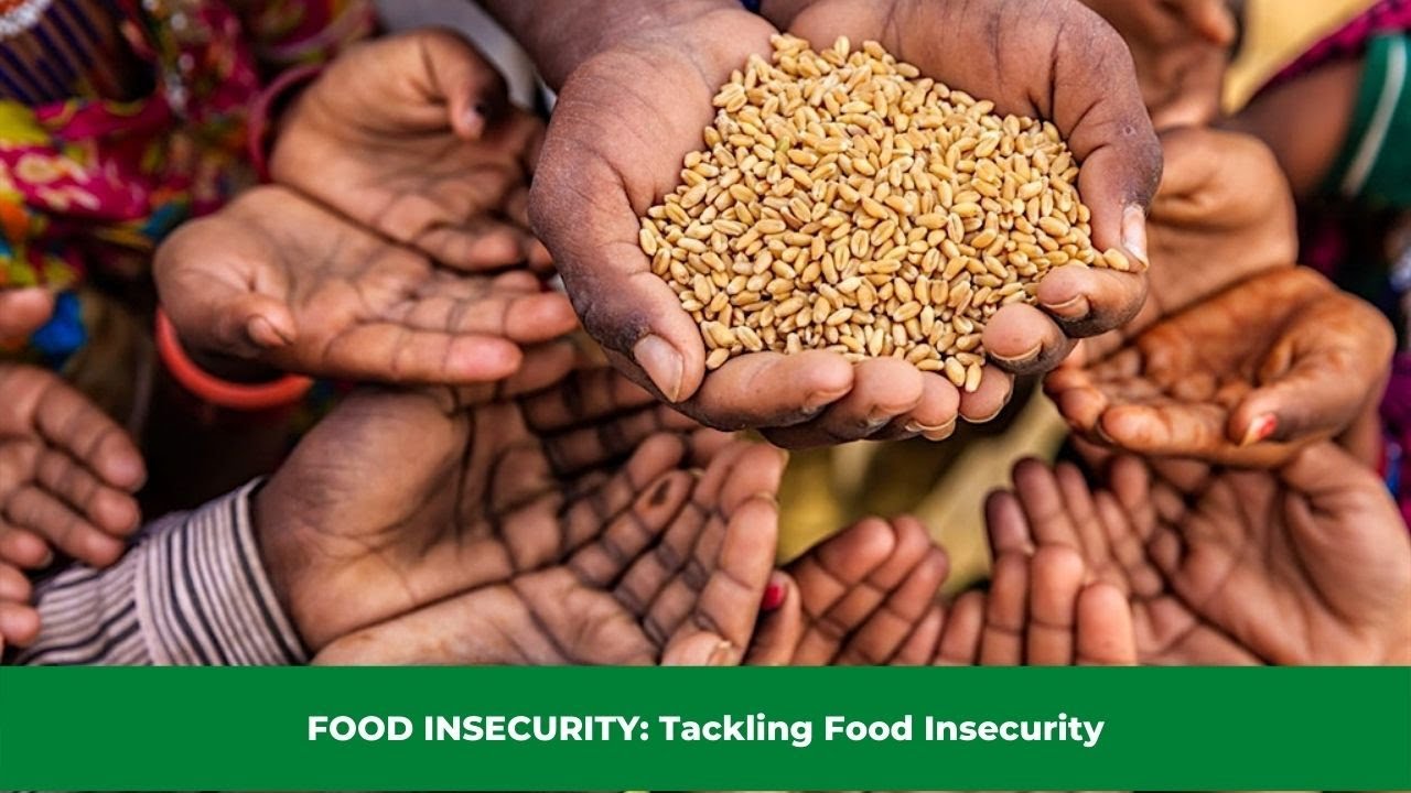 Food Insecurity Tackling Food Insecurity Go It