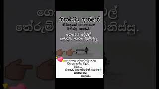 2025 ජනවාරි 23