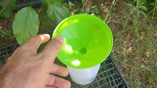 وداعا مشاكل النبات مع ملح ليمون أو حمض الستريك و فوائده الزراعيه citric acid