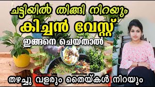 നമ്മുടെ വീട്ടിലുള്ള കിച്ചൻ വേസ്റ്റ് ഇങ്ങനെ ചെയ്താൽ മതി തഴച്ചു വളരും തൈകൾ വന്ന് നിറയും/ കിച്ചൻ