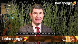 Bois Energie 2019: Les avantages de la torréfaction de la biomasse, Michael WILD, IBTC