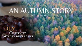 Forests of Fall | DIY Chestnut Detergent | # 25