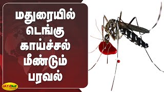 மதுரையில் டெங்கு காய்ச்சல் மீண்டும் பரவல் | Madurai | Dengu Fever | Spread