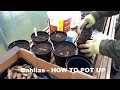 Dahlia Tubers - HOW TO POT UP