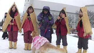 2024 秋田　犬っこまつり