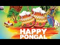 whatsapp status video tamil l happy pongal wishes 2019 l tvb