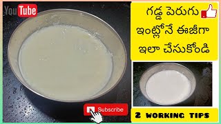 గడ్డ పెరుగు తయారీ విధానము | How to make curd at home | perugu making | #curd #curdrecipe #perugu