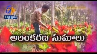 Heliconia attracting Coconut farmers in East Godavari - జైకిసాన్ - on 4th February 2015