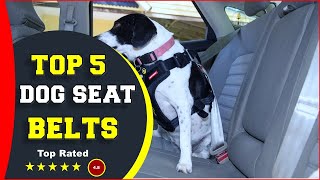 ✅ Top 5: Best Dog Seat Belts 2022  [Tested & Reviewed]