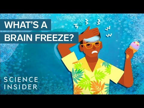 What is purpose of freezing?