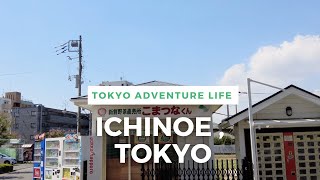 Walking Around Tokyo (Ichinoe) 一之江