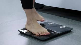 Homever Bluetooth Body Fat Scale