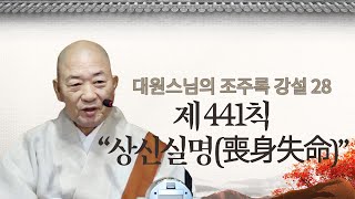 |대원스님|28.시비가 있으면 본마음을 잃는다-상신실명(喪身失命)-조주록강설