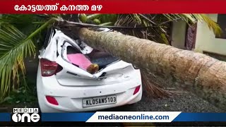 കനത്ത മഴയിൽ കോട്ടയത്ത് കാറിനു മുകളിൽ മരം വീണു